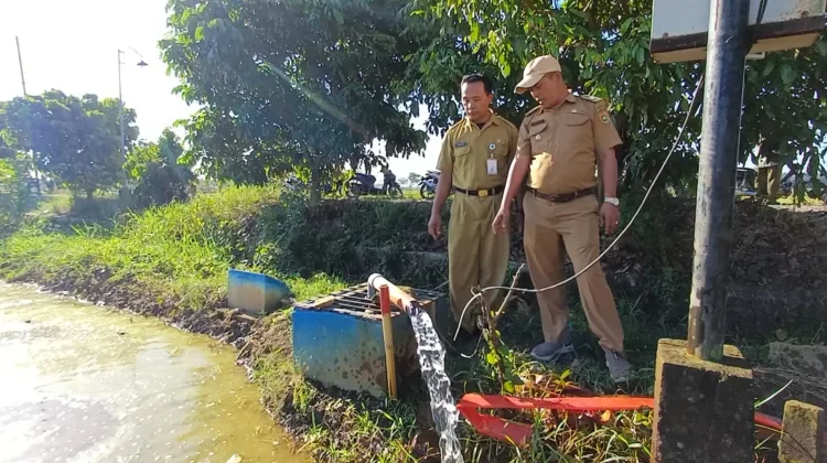 Inovasi Listrik Masuk Sawah Dongkrak Produktivitas Petani di Purworejo