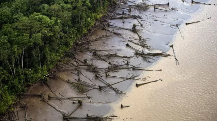 Walhi Jateng: Giant Sea Wall Bukan Satu-satunya Solusi Atasi Persoalan Pesisir