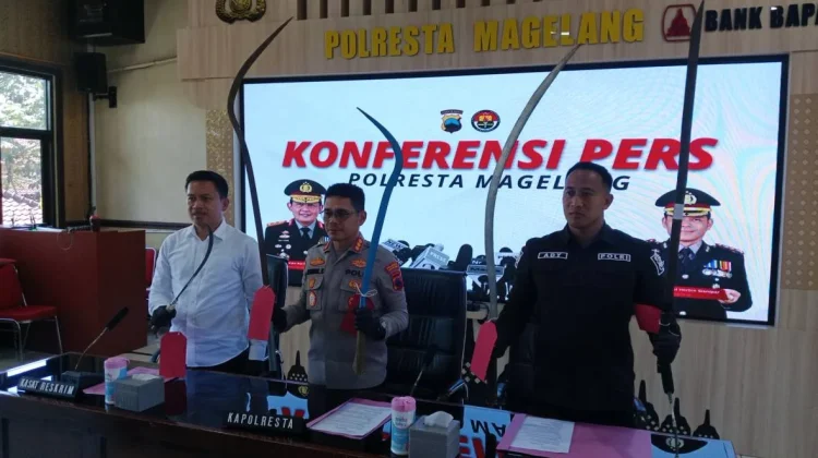 Tawuran Antargeng, Polresta Magelang Amankan 7 Pemuda Bersenjata Tajam