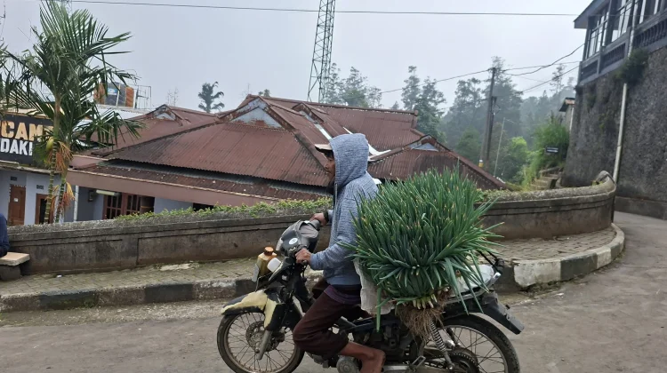 Kesejahteraan Meningkat, Nilai Tukar Petani di Jateng Capai 118,27