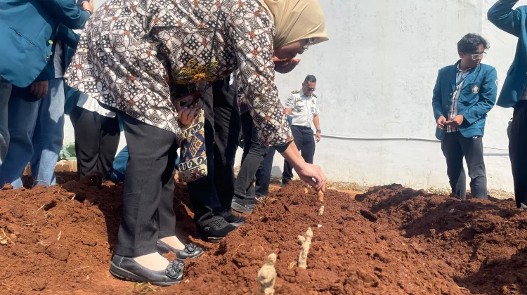 Gandeng Undip, Lapas Semarang Kembangkan Budidaya Herbal untuk Warga Binaan
