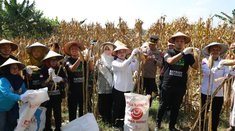 Panen Raya Jagung Jadi Bukti Pemuda Mampu Perkuat Ketahanan Pangan