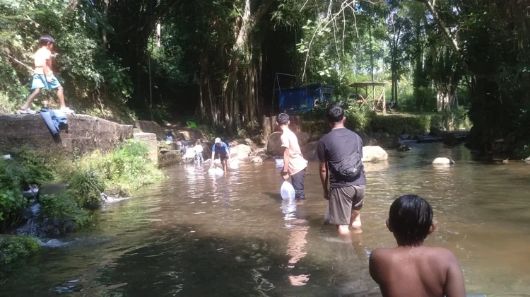 Isi Libur Sekolah, Remaja Tengaran Tebar Ribuan Bibit Ikan di Sungai Serang
