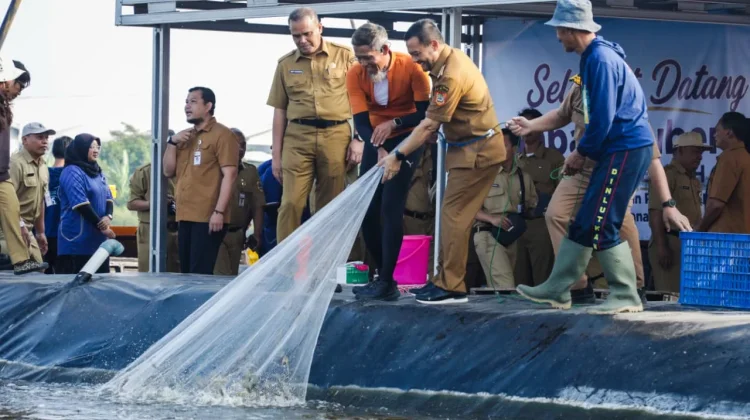 Berkat Rekayasa Teknologi, Jateng Berhasil Panen Udang 1,3 Ton di Kawasan Industri
