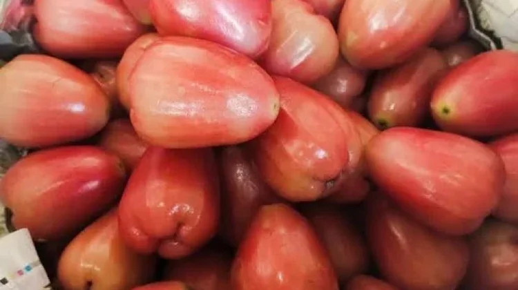 Cara Menyimpan Jambu Delima agar Segar Lebih Lama