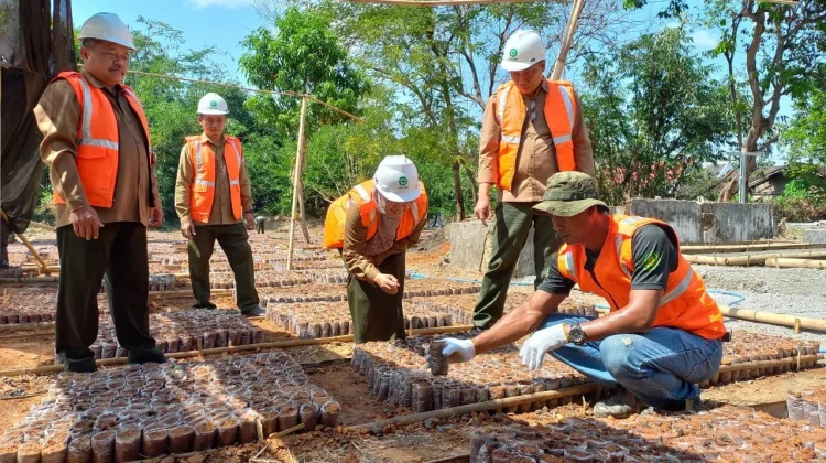 Siapkan 72 Ribu Bibit Jati Unggul, Perhutani Purwodadi Genjot Produktivitas Hutan