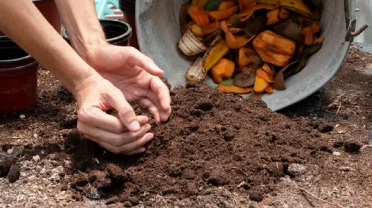 Olah 20 Ton Sampah per Hari, Unnes Sulap Sampah Organik Jadi Kompos dan Pakan Maggot