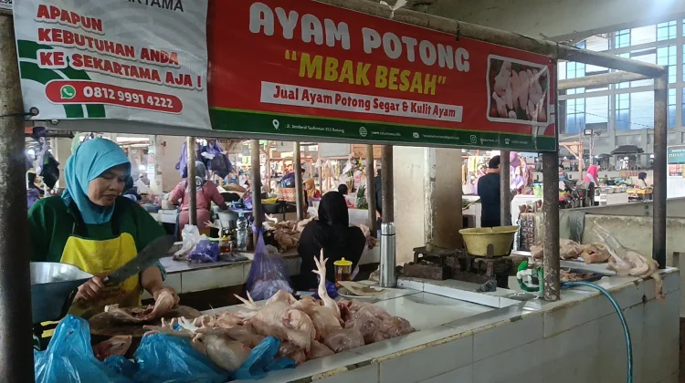 MBG Libur Tiga Pekan, Harga Ayam Potong dan Telur di Batang Melorot