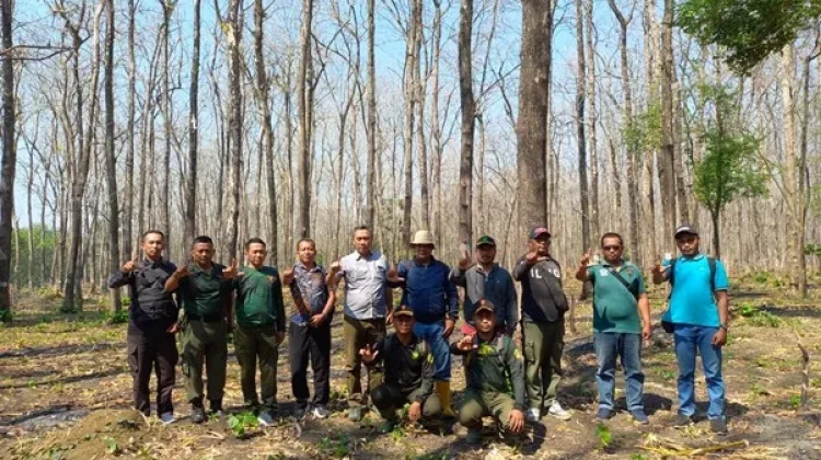 Musim Kemarau, Perhutani Survei Titik Rawan Kebakaran Hutan di Purwodadi