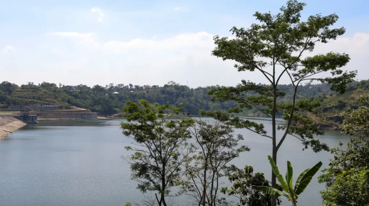 Bendungan Jlantah Dongkrak Produksi Padi, Petani Bisa Panen Tiga Kali Setahun