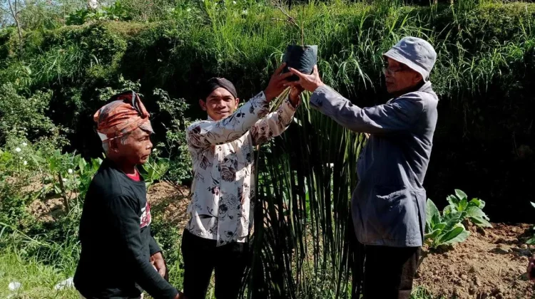Prosesi Tanam Lima Pohon  ‘Nandur Eling” Mengawali Festival Lima Gunung XXV