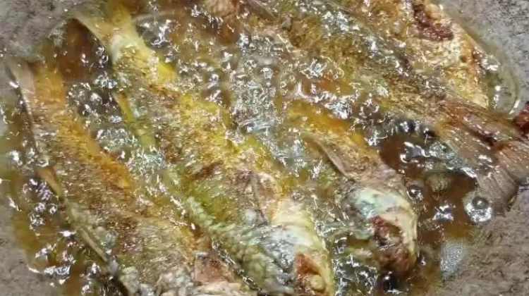 Cara Menggoreng Beberapa Ikan Belanak Sekaligus