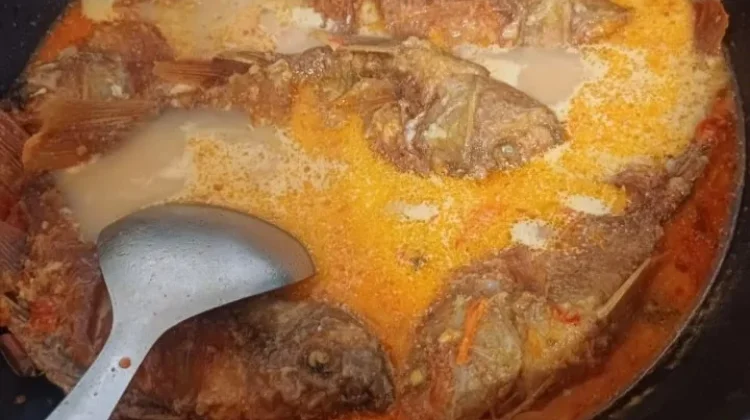 Resep Ikan Nila Kuah Santan Pedas