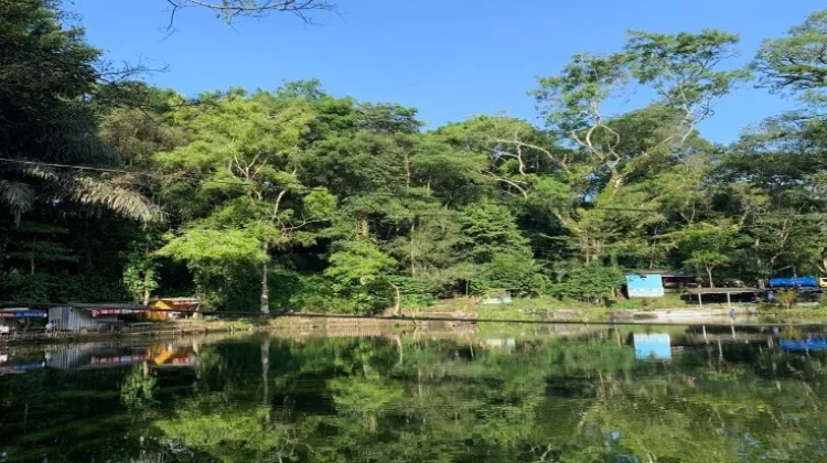 Senjoyo Tawarkan Wisata Alam dengan Kesegaran Mata Air Alami