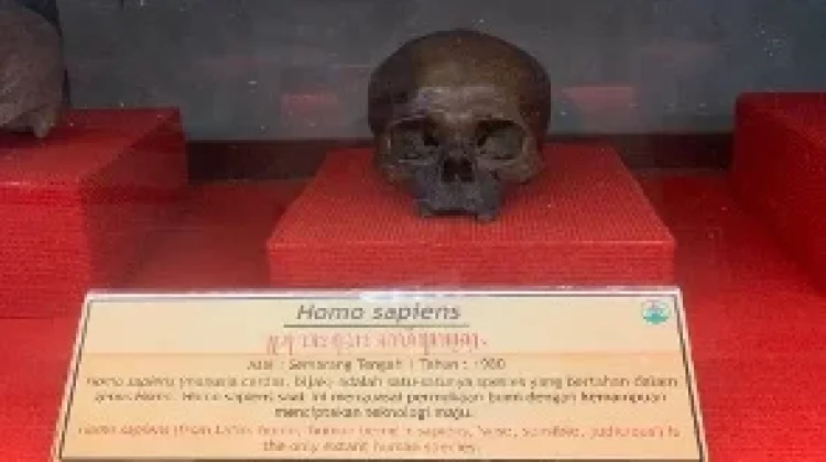 Museum Ronggowarsito, Ruang Edukasi Sejarah dan Budaya di Semarang
