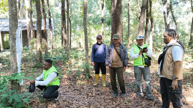 Perburuan Liar Ancam Populasi Monyet Ekor Panjang di Hutan Karangwinong