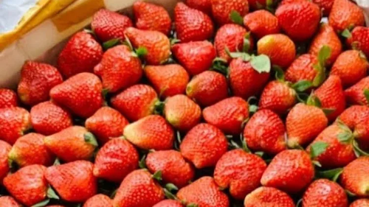 Beragam Dessert dengan Bahan Strawberry