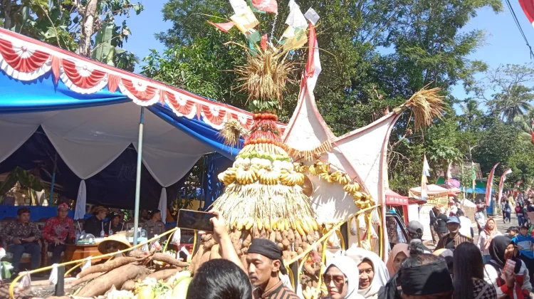 Angkat Tema Ketahanan Pangan, Desa Kemetul Gelar Tradisi Jolenan