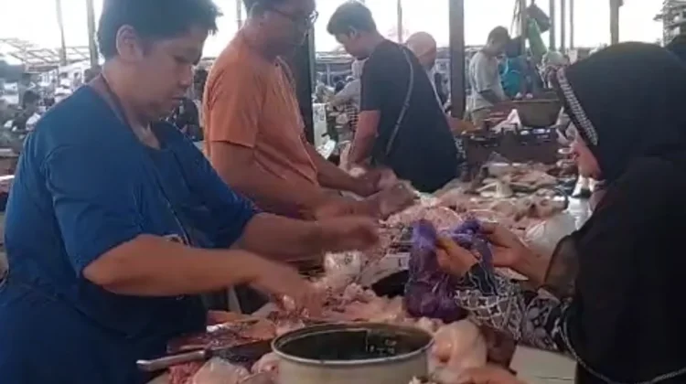 Dapur MBG Kembali Ngebul, Harga Pangan di Pekalongan Langsung Naik