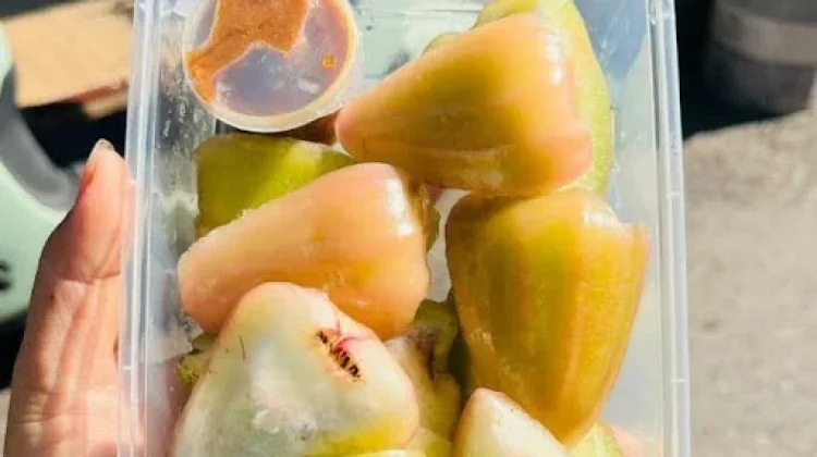 Nikmatnya Makan Jambu Cincalo Segar dengan Sambal Rujak