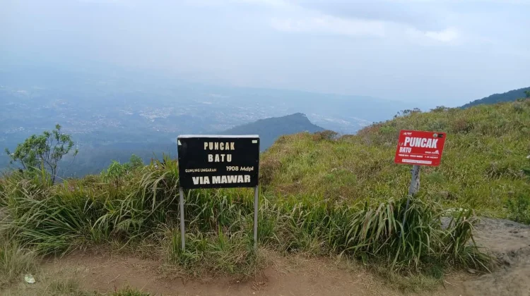 Serunya Jalur Pendakian Gunung Ungaran via Mawar Camp