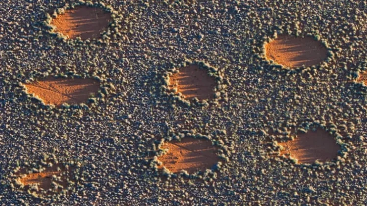Fairy Circles, Fenomena Lingkaran Misterius yang Masih Diteliti Ilmuwan