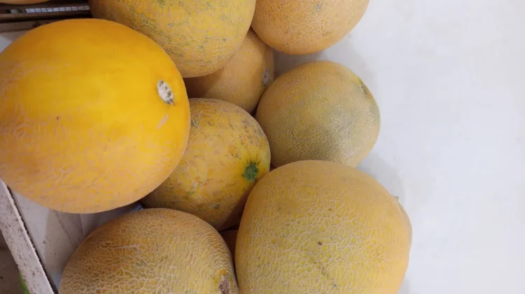 Manis Segar Melon Lokal: Primadona Baru Penyejuk Lidah dan Tubuh