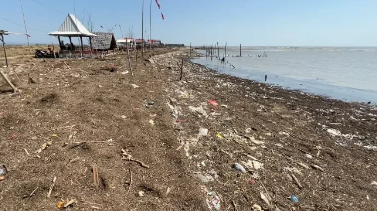 Pantai Bulumanis Kidul Tertutup Sampah dan Limbah