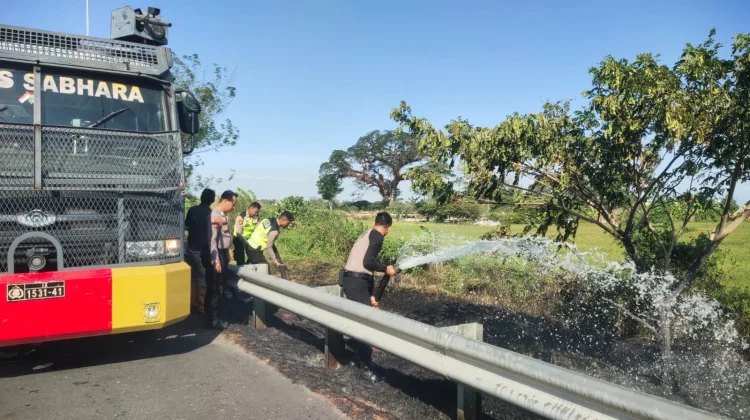 Kemarau, Areal Lahan Kawasan Tol Pejagan KM 248 Brebes Terbakar