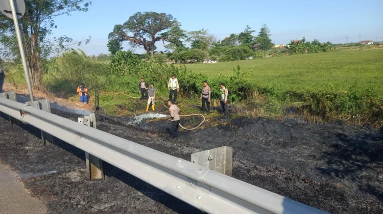 Kemarau, Areal Lahan Kawasan Tol Pejagan KM 248 Brebes Terbakar