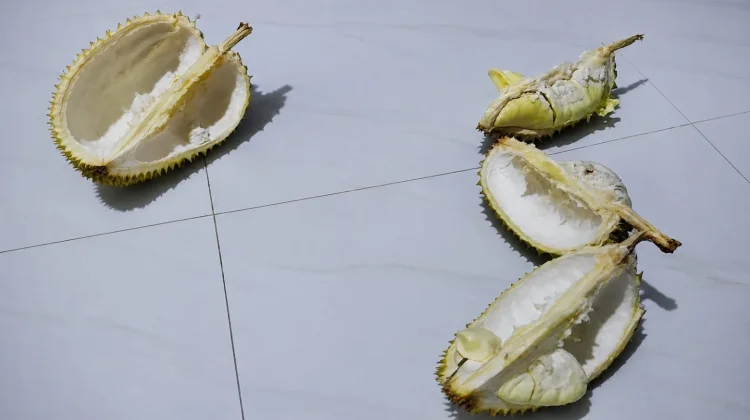 Air Cekungan Kulit Durian, Cara Tradisional Mengurangi Bau pada Tangan