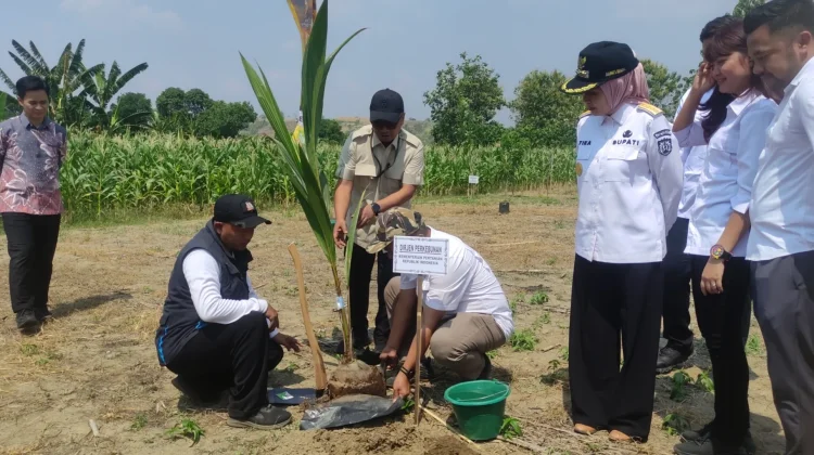 Tekan Emisi Karbon, Lahan Perhutanan Sosial di Kendal mulai Ditanami Pohon Buah