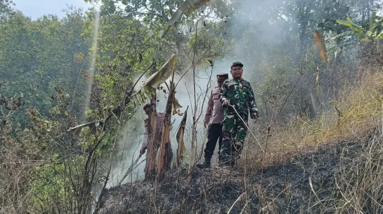 Kebakaran Lahan di Desa Tipar Kidul, Petugas Gerak Cepat Padamkan Api
