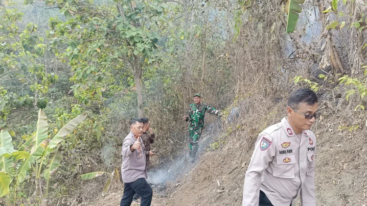 Kebakaran Lahan di Desa Tipar Kidul, Petugas Gerak Cepat Padamkan Api