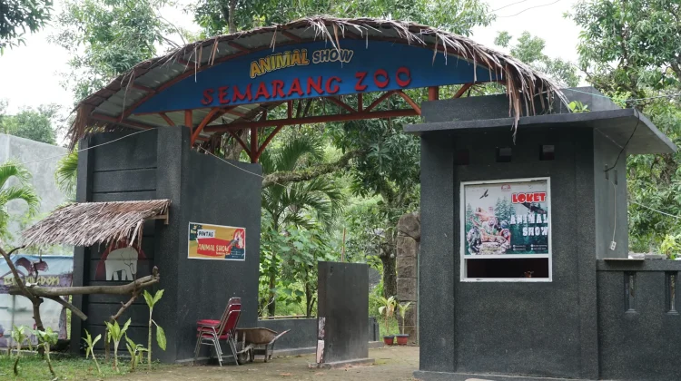 Penanganan Kematian Harimau Benggala Putih Dilaksanakan Sesuai Prosedur