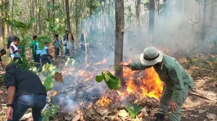 Mencegah Karhutla, Melindungi Masa Depan Jawa Tengah