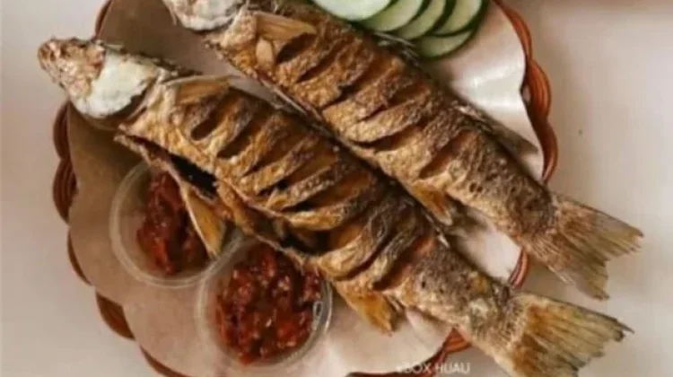 Cara Menggoreng Ikan Belanak Jumbo agar Matang Merata
