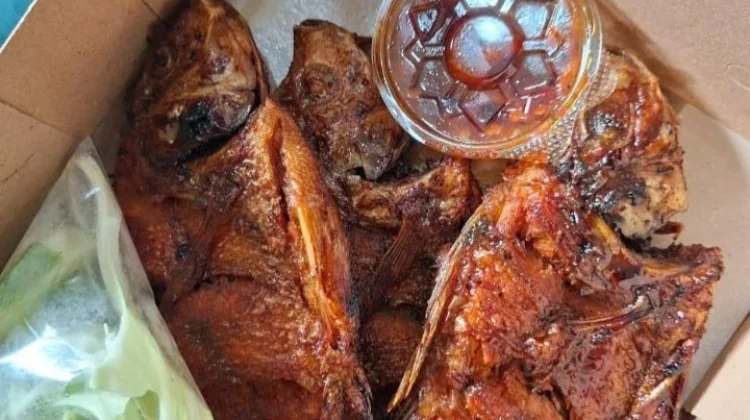 Peluang Usaha Jualan Ikan Nila Bakar Pre Order