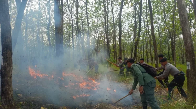 Simulasi Penanganan Karhutla, Perhutani-Polres Grobogan Perkuat Kesiapsiagaan