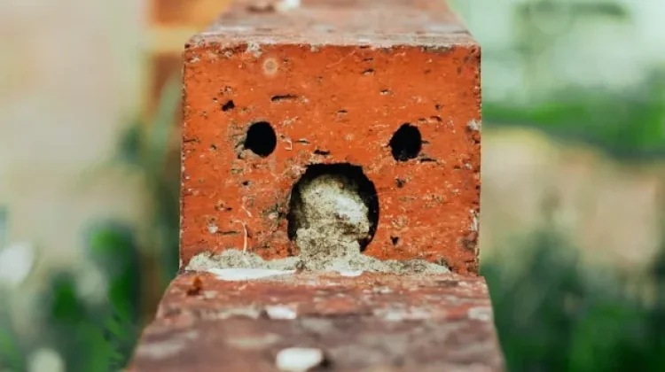 Pareidolia Visual, Fenomena Otak Melihat Wajah pada Benda Sehari-hari