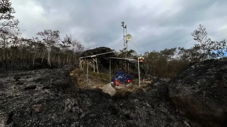 Lahan Seluas 2.000 Meter Persegi di Gunung Merapi Terbakar