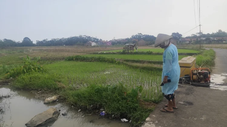 Air Irigasi Menyusut, DPRD Pekalongan Dorong Langkah Darurat Jaga Pertanian