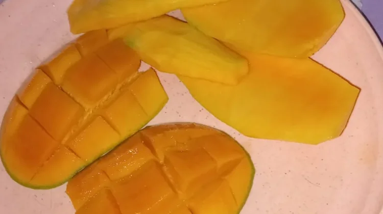 Mangga, Camilan Segar pada Musim Kemarau di Semarang