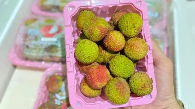 Tips Menyimpan Buah Leci agar Tahan Lebih Lama