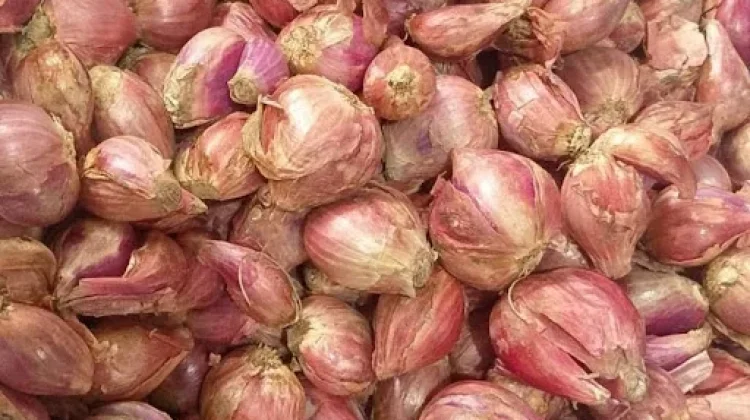 Cara Mengupas Kulit Bawang Merah Cepat dan Praktis