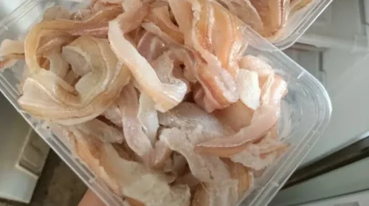 Masakan Berbahan Ikan Fillet Baracuda yang Menggugah Selera