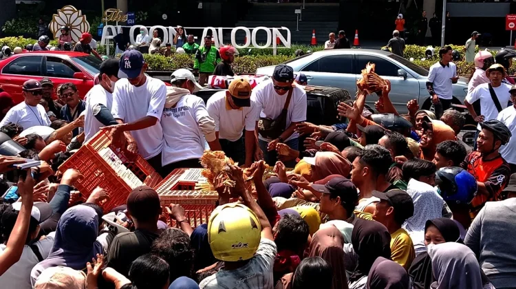 Peternak Ayam Telur di Magelang Berharap Pemerintah Turunkan Harga Pakan