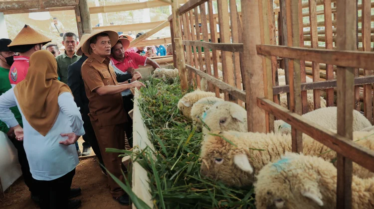 Sukses Ubah Lahan Tidur Jadi Produktif, Revola Didorong Direplikasi se-Jateng