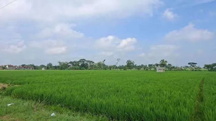 Irigasi Terjaga, Lahan Pertanian Selamat