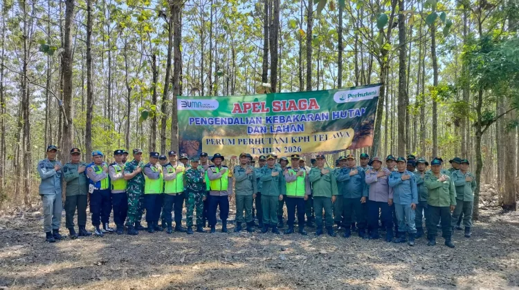 Puncak Musim Kemarau, Perhutani Telawa Perketat Patroli Pencegahan Karhutla